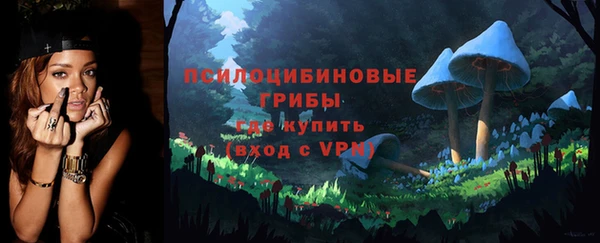 соль ск Алексин