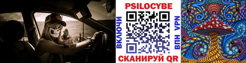 Галлюциногенные грибы MAGIC MUSHROOMS  Стародуб 